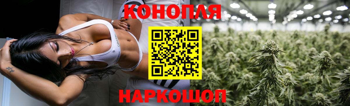 Бошки марихуана план  Конопля индика  Вход с VPN  Канабис план  Сорочинск 
